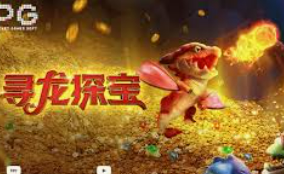 ayx官方app免费版