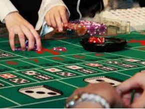 ayx官方app手机版